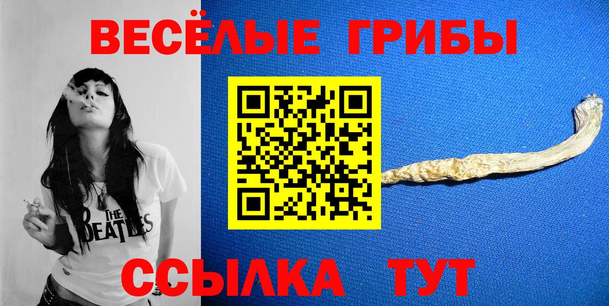 Псилоцибиновые грибы ЛСД  Вход с VPN  Щёлково 